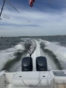 550700934_24795360420094577_8644580268801492263_n